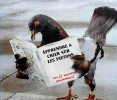 hahahah
